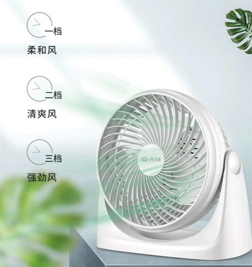告别头痛烦恼，时光书屋的静谧守护者 对流循环扇评测